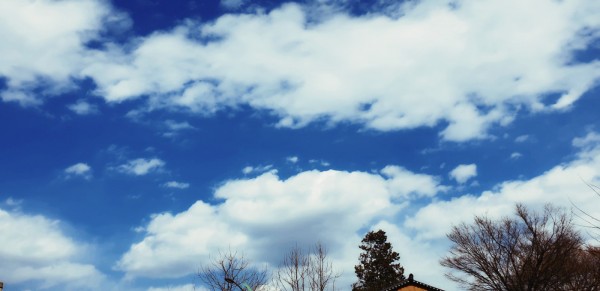 12c42e29c6382cda587274f603ba2228_1562388