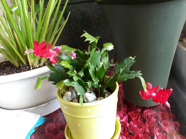 d48af60c52991067b580df60b6f20da7_1566031